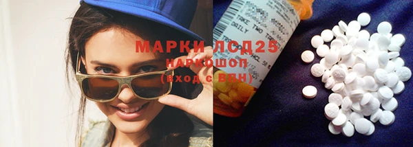 прущие грибы Новочеркасск