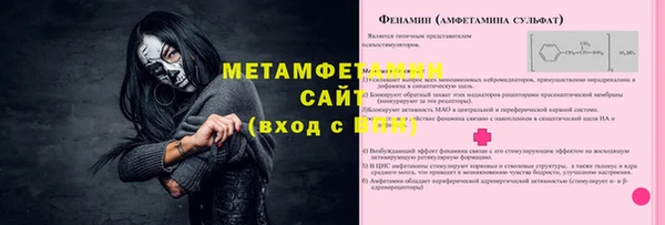 гидра Мегион