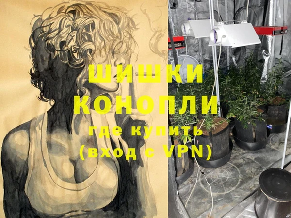 стафф Волгодонск