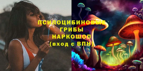 мяу мяу мука Медвежьегорск