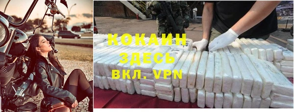 гидра Мегион