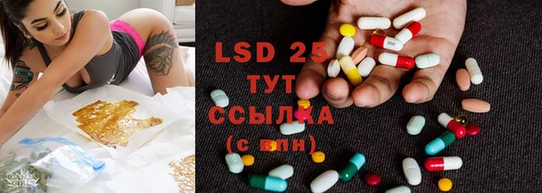 мяу мяу мука Медвежьегорск