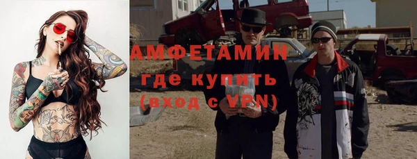 прущие грибы Новочеркасск